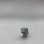 Miniatuur Teckel Zilverkleurig 4 thumbnail 3