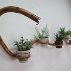 Plantenslang Rotan/bamboe. Plantenhouder Rohé/trio Noordwolde thumbnail 14