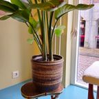 Grote Robuuste Keramieken Vintage Bloempot Plantenpot thumbnail 2