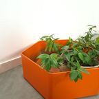 Oranje Kunststof Bloembak Plantenbak thumbnail 3