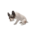 F. Diller Porseleinen Franse Bulldog Rosenthal thumbnail 5
