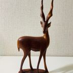 Houten Hert thumbnail 6