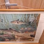 Antieke Schoolplaat Schoolkaart Noordzee Wolters thumbnail 9