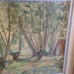 Frans Olieverf Schilderij Op Doek Ardennen 1962 thumbnail 6