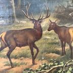 Vintage Linnen Schoolkaart – Noord-amerikaanse Woudbewoners thumbnail 6