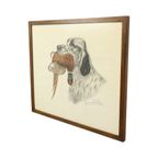 Maurice Brailly Jachthond Fazant Vintage Grafiek In Kleur 1972 thumbnail 9