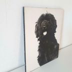 Oude Foto Op Hout Bouvier Hond Zwart WIT Retro Foto thumbnail 3
