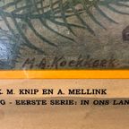 Vintage Linnen Schoolkaart – In Sloot En Plas thumbnail 10