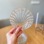 Schelp Schaaltjes thumbnail 2