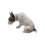 F. Diller Porseleinen Franse Bulldog Rosenthal thumbnail 3