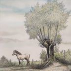 Vic Buys - Tekening Boerenpaard - 1994 thumbnail 5