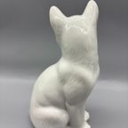 Kat Wit Porselein thumbnail 3