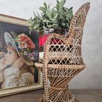 Pauwen Planten / Poppenstoel 39 Cm thumbnail 3
