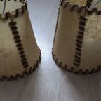 Lampenkapjes Van Varkensblaas thumbnail 2