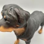 Vintage Beeld Rottweiler Handbeschilderd Italië thumbnail 9