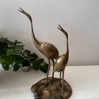 Messing Flamingo’s thumbnail 2