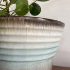Cache-Pot 🌞 Springtime thumbnail 2
