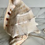 Vintage Schelp-Lamp thumbnail 10