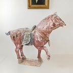 Tang Dynasty Paard thumbnail 12