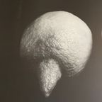Sabine Kacunko, Out Of Sight I,2000 thumbnail 7