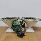 Set Vintage Tuinvazen Jardinières Betonnen Tuinpotten Bloembakken thumbnail 4