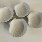 Set Van 8 Schelpschaaltjes thumbnail 6