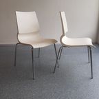 Marco Maran For Knoll – Gigi Chairs White, Set Of 8 thumbnail 12