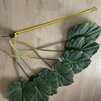 Zijden Bladeren Silk-Ka Alocasia thumbnail 8