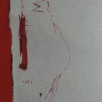 Picador thumbnail 14