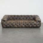 Stoere, Unieke En Moderne Rundleren Chesterfield Bank Met Een Bijzondere Kleurstelling thumbnail 8