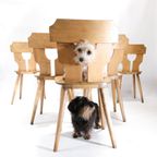 Set Van 6 Brutalist Licht Houten Stoelen Jaren 60 thumbnail 2