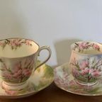 Royal Albert "Blossom Time" Duo thumbnail 3