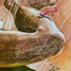 Franciszek A.b. Bilberstein-starowieyski (1930-2009), Gombrowicz thumbnail 11