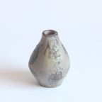 Prehistoric Sealife Decor Vase By Anna Camos, Vallauris 1950S thumbnail 13