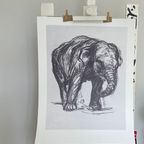 Franz Marc (1880-1916), Elefant, 1907, Printed In Italy thumbnail 5