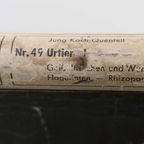 Jung Koch Quentell ‘Untiere 1’ 59901 thumbnail 6