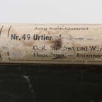 Jung Koch Quentell ‘Untiere 1’ 59901 thumbnail 6