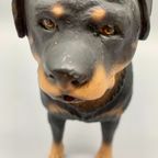 Vintage Beeld Rottweiler Handbeschilderd Italië thumbnail 6