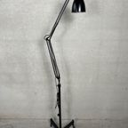 Original Anglepoise Herbert Terry 1209 – Vloerlamp – 1940’s thumbnail 17