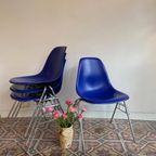 Eames Plastic Side Chair 🧿 Cobalt Blue thumbnail 2