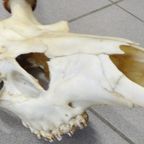 Oud Hertegewei thumbnail 2