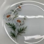 Set Arcopal Soep/pasta Borden Daisy 4 Stuks thumbnail 6