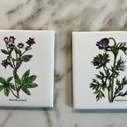 Twee Onderzetters Met Planten Afbeelding thumbnail 6