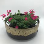 Grote Plantenpot (60’S/70’S) – West-Germany thumbnail 2