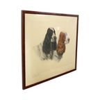 Grote Kleuren Litho Leon Danchin Jachthond Spaniël 68x55cm thumbnail 7