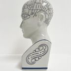 Keramieken 30 Cm Hoge Phrenology Hoofd, 1990’s thumbnail 5