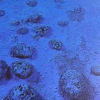 Yves Klein (1928-1962), Relief Éponge-blue Re 17, thumbnail 4