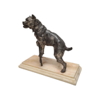 Antiek Frans Beeld Van Een Bulldog Charles Valton thumbnail 2