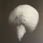 Sabine Kacunko, Out Of Sight I,2000 thumbnail 7