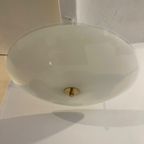 Plafond Schaal Lamp thumbnail 10